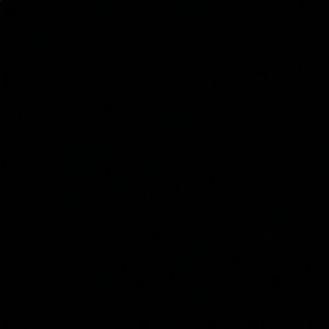 Meet your Posher, Savannah